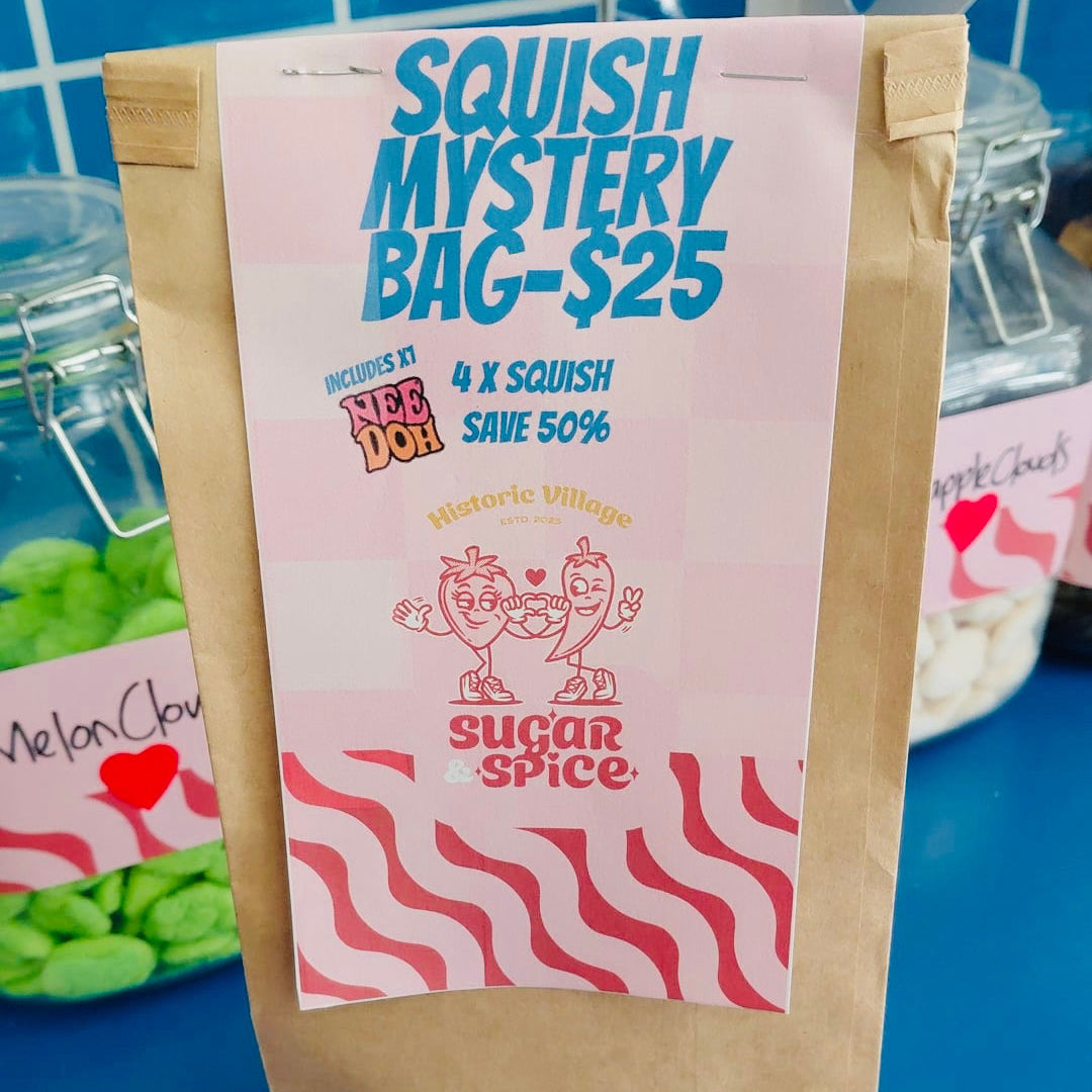 Mystery Squish bag - Includes 1 x NeeDoh