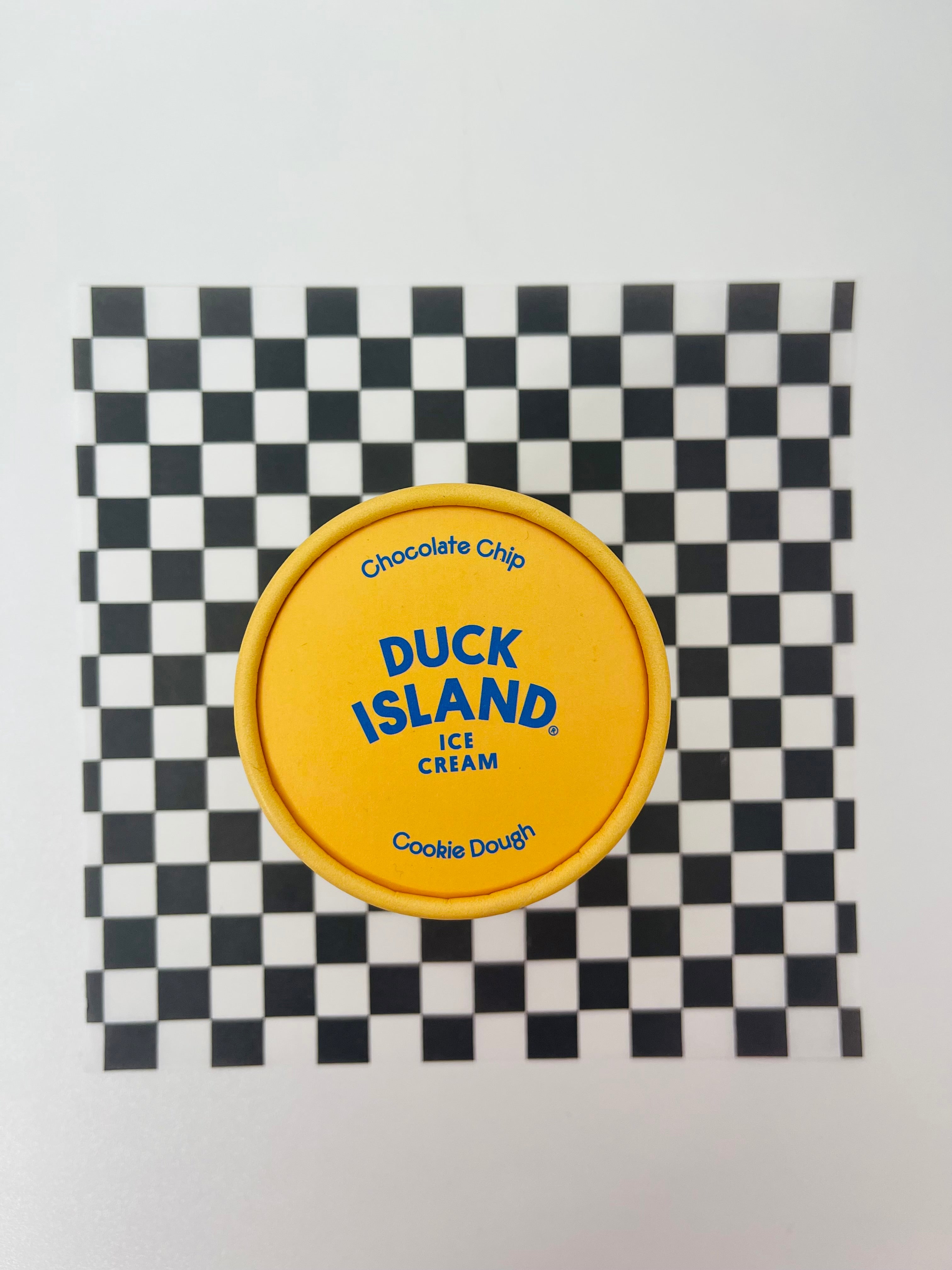 Chocolate Chip Cookie Dough - Duck Island Ice Cream Pottle 120ml